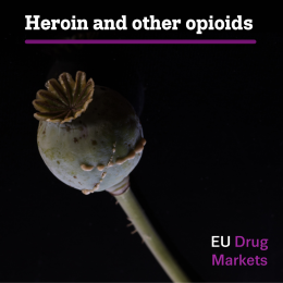 Informe sobre los mercados de drogas europeos: heroína. Foto de amapola sobre fondo negro
